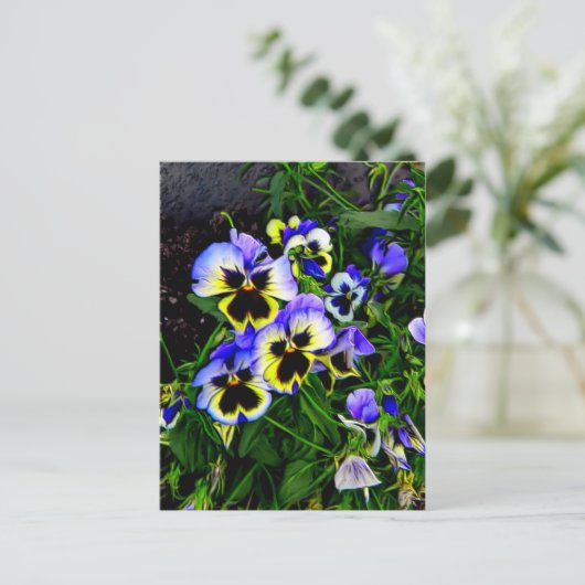 Johnny Jump Up Postkarte (Stehend Vorderseite)