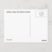 Johnny Jump Up Postkarte (Rückseite)