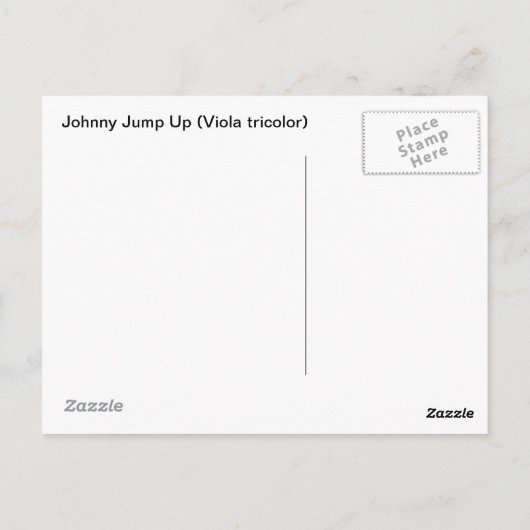 Johnny Jump Up Postkarte (Rückseite)