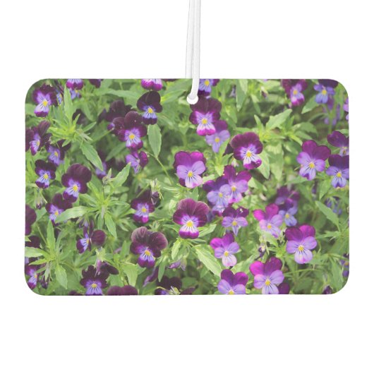 Johnny Pop Ups Autolufterfrischer (Rückseite)