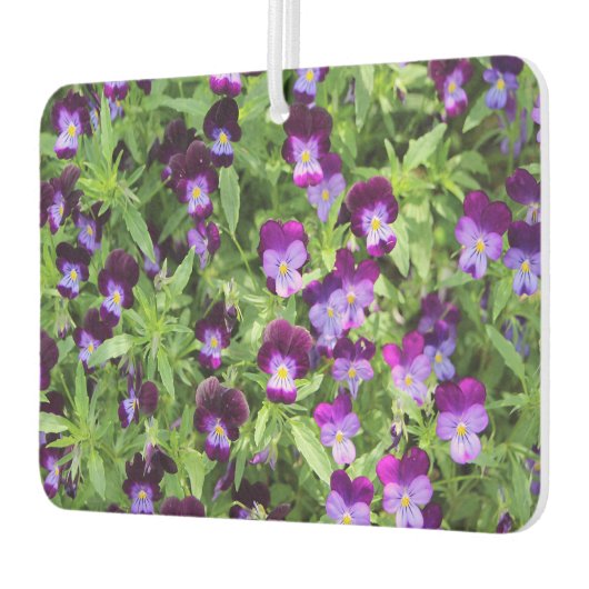 Johnny Pop Ups Autolufterfrischer (Links)