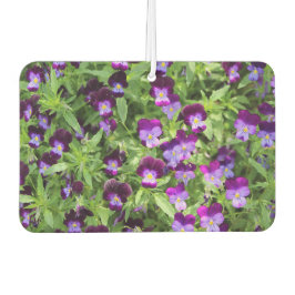 Johnny Pop Ups Autolufterfrischer