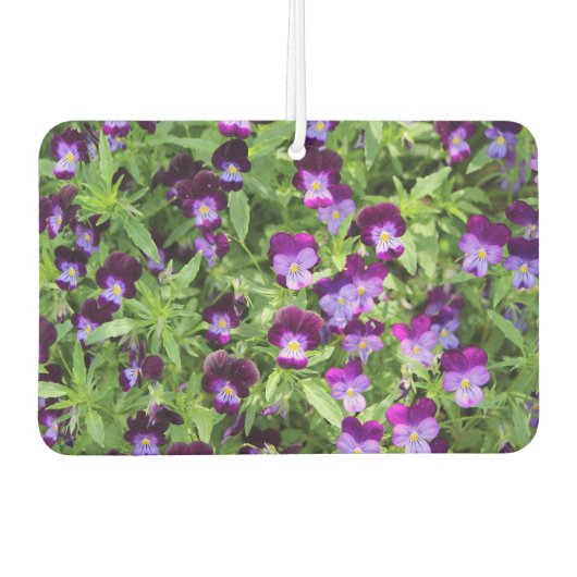 Johnny Pop Ups Autolufterfrischer (Vorderseite)