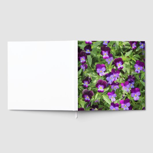 Johnny Pop Ups Gästebuch (Voll)