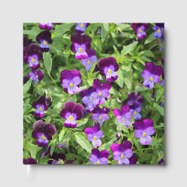 Johnny Pop Ups Gästebuch