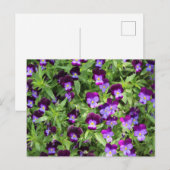 Johnny Pop Ups Postcard Postkarte (Vorne/Hinten)