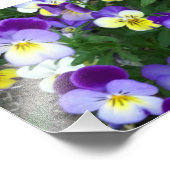 Johnny springt hoch fotodruck (Ecke)