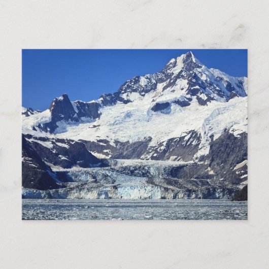 Johns Hopkins Glacier in Glacier Bay NP Postkarte (Vorderseite)