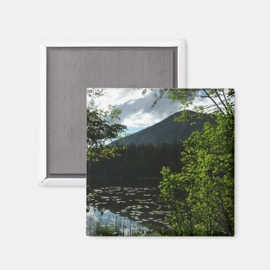 Johns Lake I im Glacier National Park Magnet (Vorderseite/Rückseite)