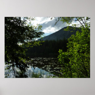 Johns Lake I im Glacier National Park Poster