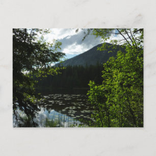 Johns Lake I im Glacier National Park Postkarte