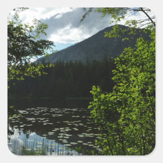 Johns Lake I im Glacier National Park Quadratischer Aufkleber (Vorderseite)
