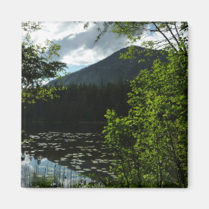 Johns Lake I im Glacier-Nationalpark Magnet