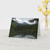 Johns Lake II am Glacier National Park Karte (Gelbe Blume)