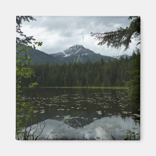 Johns Lake II am Glacier National Park Magnet (Vorne)