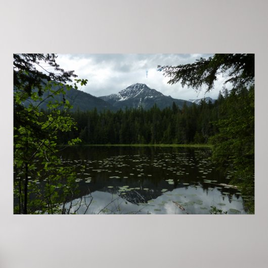 Johns Lake II am Glacier National Park Poster (Vorne)
