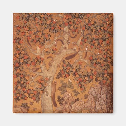 Johnson Album I, No.30 Eichhörnchen auf einem Flug Magnet (Vorne)