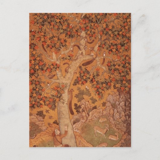 Johnson Album I, No.30 Eichhörnchen auf einem Flug Postkarte (Vorderseite)