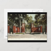 Johnson Gate Harvard University 1902 Postkarte (Vorne/Hinten)