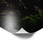 Johnson Grass Fotodruck (Ecke)