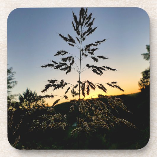 Johnson Grass Getränkeuntersetzer (Vorderseite)