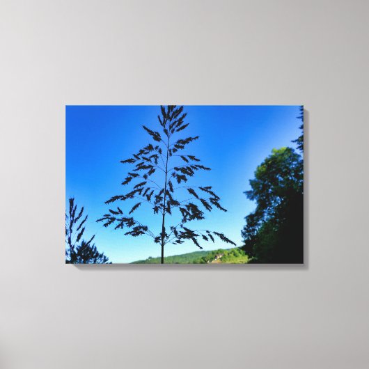 Johnson Grass Leinwanddruck (Vorderseite)
