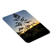 Johnson Grass Magnet (Rechte Seite)