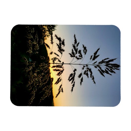 Johnson Grass Magnet (Horizontal)