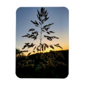 Johnson Grass Magnet (Vertikal)