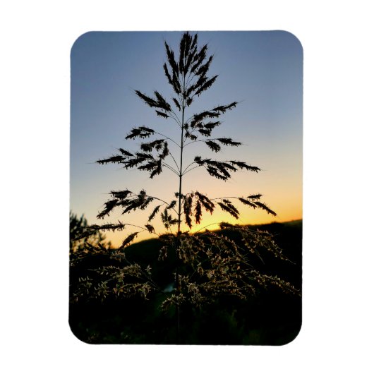 Johnson Grass Magnet (Vertikal)