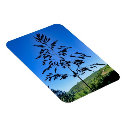 Johnson Grass Magnet (Rechte Seite)