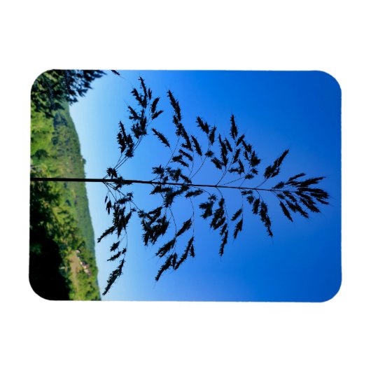 Johnson Grass Magnet (Horizontal)
