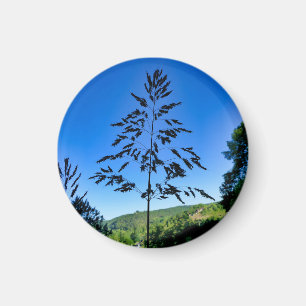 Johnson Grass Magnet