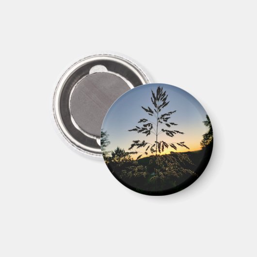 Johnson Grass Magnet (Vorderseite/Rückseite)