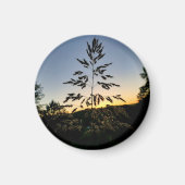 Johnson Grass Magnet (Vorne)