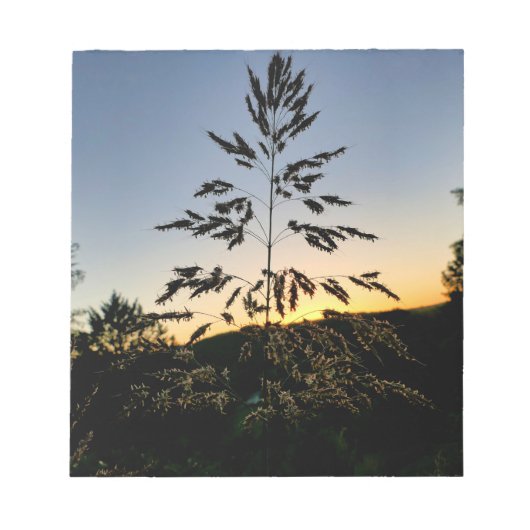 Johnson Grass Notizblock (Vorderseite)