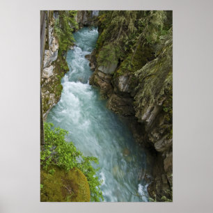 Johnston Canyon Poster