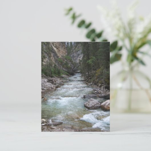 Johnston Canyon Step Falls Postkarte (Stehend Vorderseite)