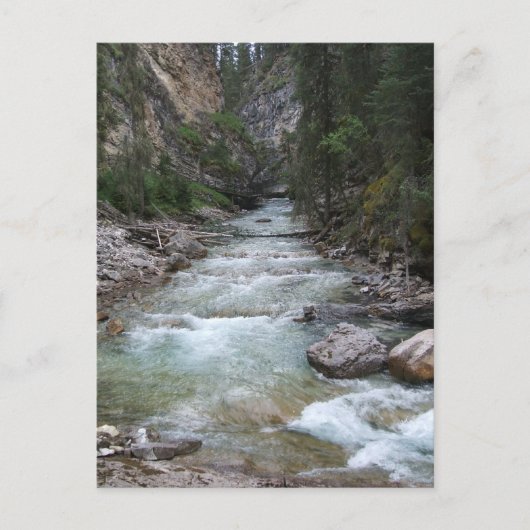 Johnston Canyon Step Falls Postkarte (Vorderseite)
