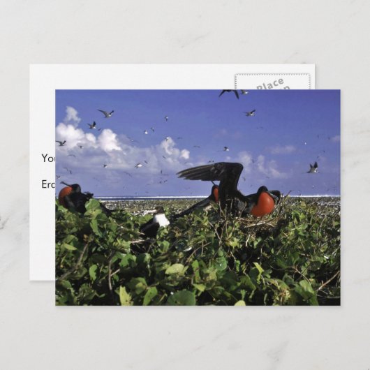 Johnston Island National Wildlife Refuge Postkarte (Vorne/Hinten)