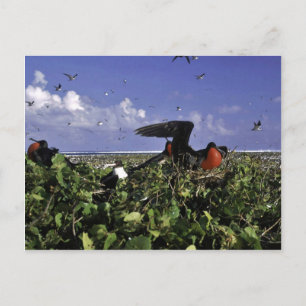 Johnston Island National Wildlife Refuge Postkarte