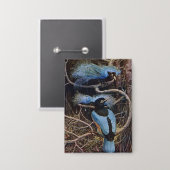 Johnston Vintage Blue Bird Paradies Illustration Button (Vorderseite/Rückseite)