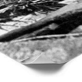 Johnstown Flood Train Wreck Poster (Ecke)