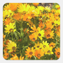 Joie de Vivre (1) Stickers