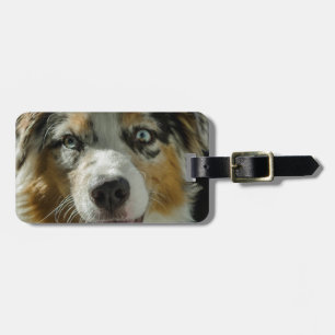 Joker-Junge Gepäckanhänger