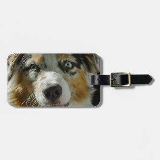 Joker-Junge Gepäckanhänger