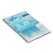 Jökulsárlón Seeschwalben Notizblock (Rechte Seite)