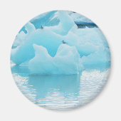 Jökulsárlón terns magnet (Vorne)