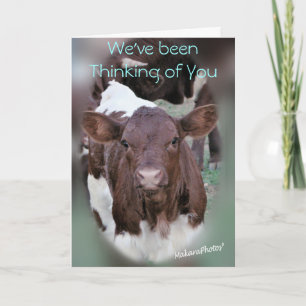 JolCrd-GetWell oder Beileid-fertigen besonders an Karte