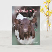 Jolee-Thinking of You-oder andere Gelegenheiten an Karte (Gelbe Blume)